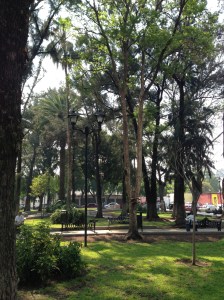 Paseo Juárez, El Llano Park