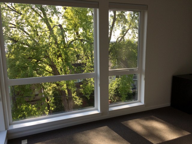 Floor to ceiling windows and lots of trees.