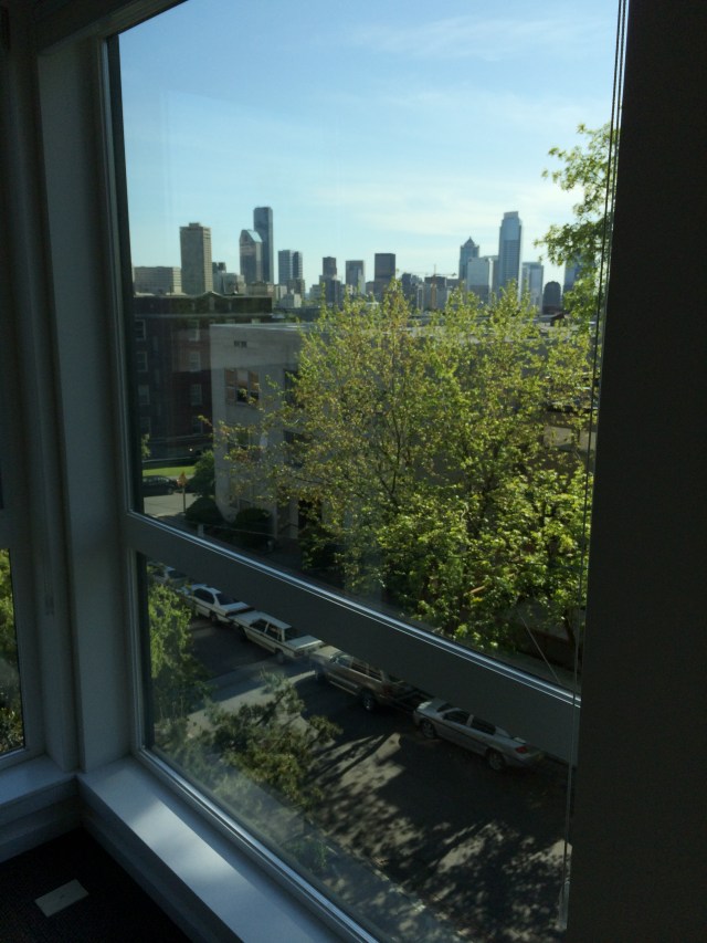 View of downtown Seattle.