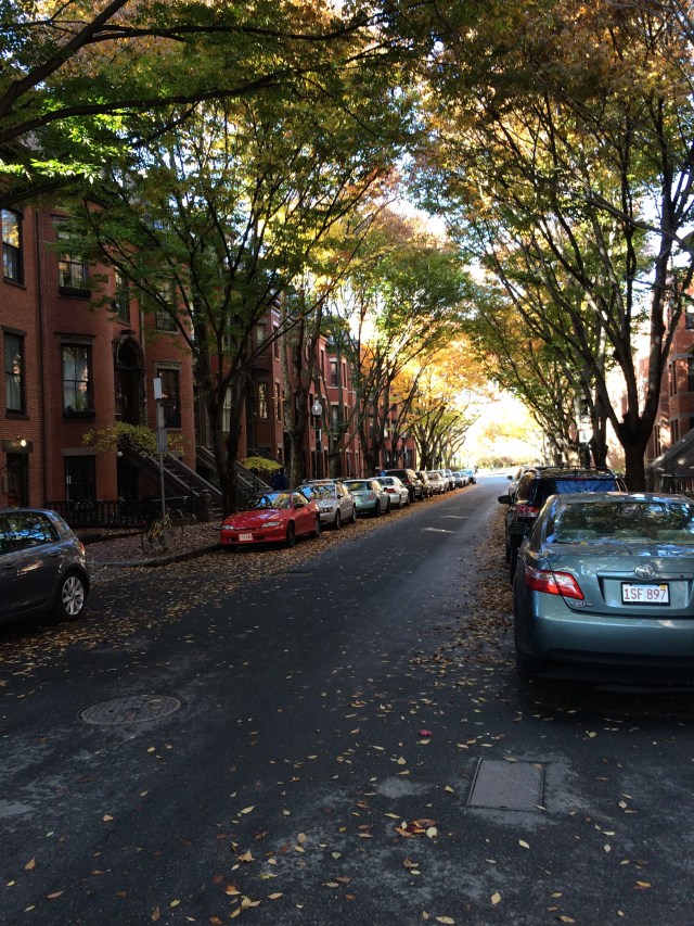 A street in Boston's South End.