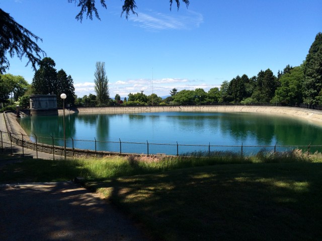 Volunteer Park in Seattle