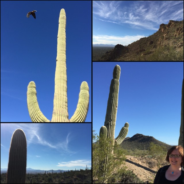 Arizona Sonoran Desert Museum