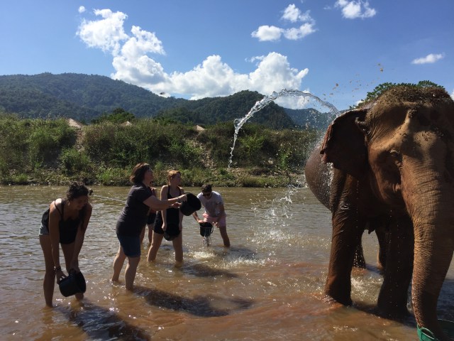 Bathing the elephants at Elephant Nature Park.