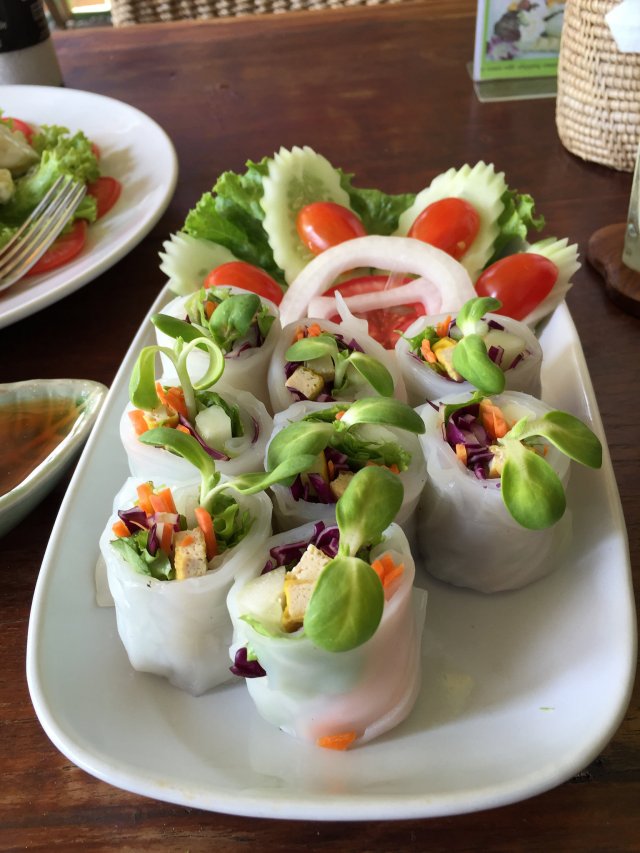 Fresh vegetarian spring rolls
