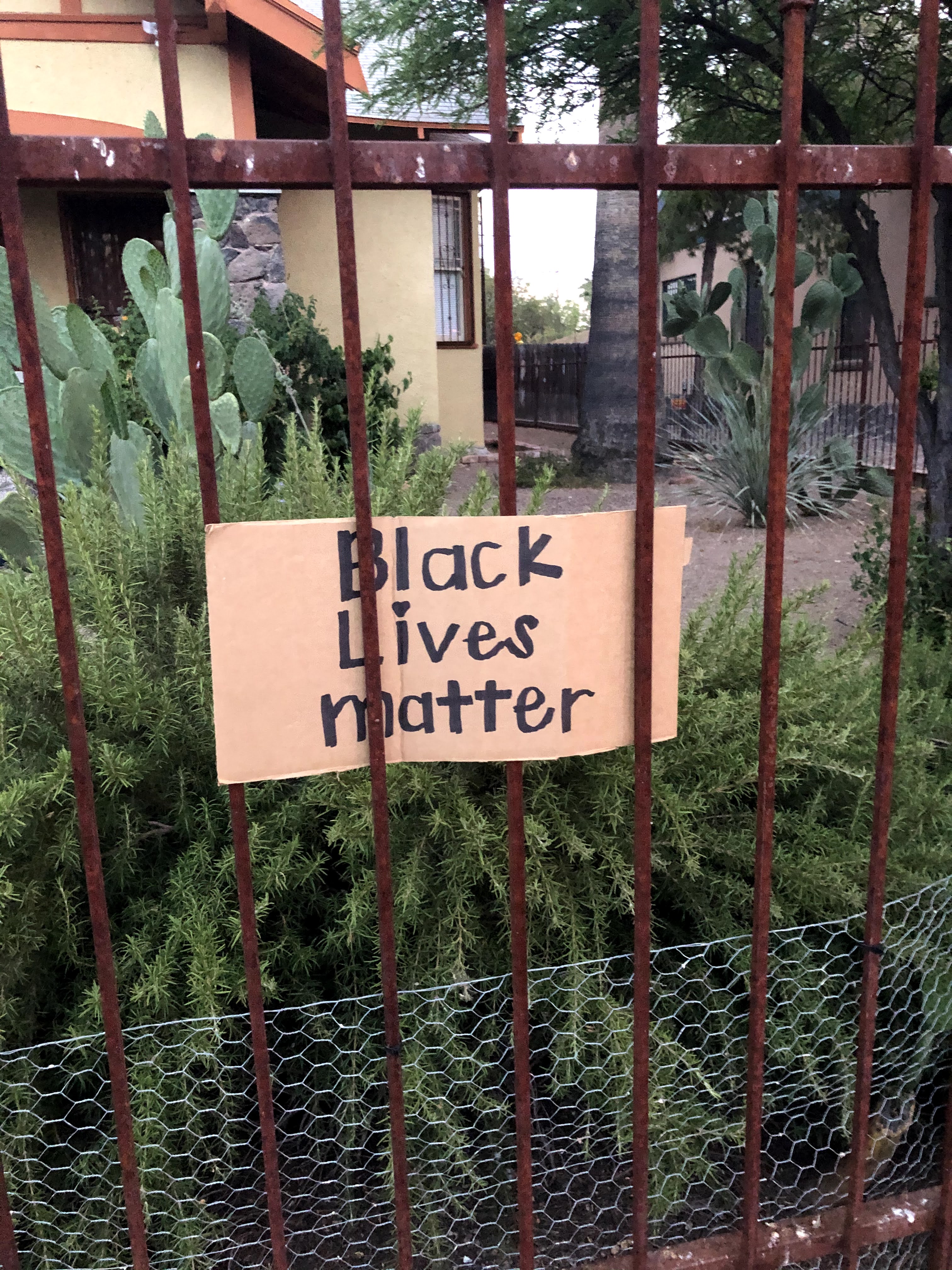 Black Lives Matter sign on a fence.
